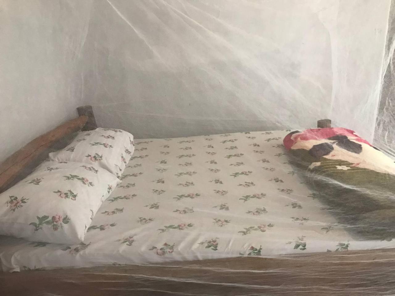 Sipi Backpackers Apartment Kapchorwa Bilik gambar